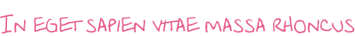 In eget sapien vitae massa rhoncus